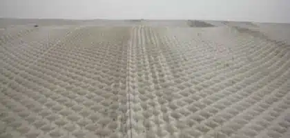 Fileter-Point-Linings