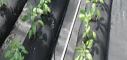 SKAPS Industrial and agricultural applications Horticulture